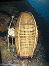 %_tempFileName2012-07-01_2_Ternate_Island_Babylon%20(14)%