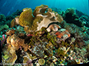 %_tempFileName2012-07-01_2_Ternate_Island_Babylon%20(37)%
