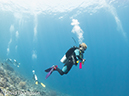 %_tempFileName2012-07-01_2_Ternate_Island_Babylon%20(43)%