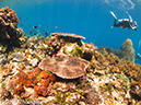 %_tempFileName2012-07-01_2_Ternate_Island_Babylon%20(73)%