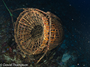 %_tempFileName2012-07-01_2_Ternate_Island_Babylon%20(8)%