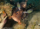 %_tempFileName2012-07-01_3_Alor_Island_Kalaabahi_Bay_Mucky_Mosque%20(29)%