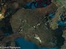 %_tempFileName2012-07-01_3_Alor_Island_Kalaabahi_Bay_Mucky_Mosque%20(79)%
