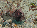 %_tempFileName2012-07-02_1_Pura_Island_Pakyans_Vilage%20(57)%