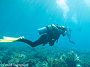 %_tempFileName2012-07-03_1_Pura_Island_Clown_Fish_Valley%20(92)%