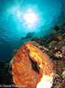 %_tempFileName2012-07-03_2_Ternate_Island_Babylon%20(19)%