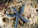 %_tempFileName2012-07-03_2_Ternate_Island_Babylon%20(57)%