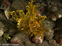 %_tempFileName2012-07-03_4_Alor_Island_Kalabahi_Bay_Musky_Mosque%20(78)%