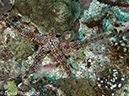 %_tempFileName2012-07-04_2_Treweg_Island_East_of_Trewag%20(2)%