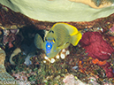 %_tempFileName2012-07-04_2_Treweg_Island_East_of_Trewag%20(40)%