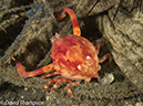 %_tempFileName2012-07-04_4_Alor_Island_Kalabahi_Bay_Mucky_Mosque%20(74)%