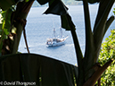 %_tempFileName2012-07-05_0_Pura_Island%20(17)%