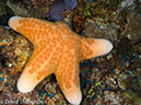 %_tempFileName2012-07-06_1_Pura_Island_Board_Room%20(17)%