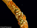 %_tempFileName2012-07-06_1_Pura_Island_Board_Room%20(25)%