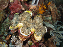 %_tempFileName2012-07-06_1_Pura_Island_Board_Room%20(32)%