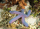 %_tempFileName2012-07-06_1_Pura_Island_Board_Room%20(36)%