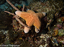 %_tempFileName2012-07-06_3_Buaya_Island_Croodile_Cave%20(11)%