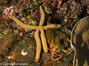 %_tempFileName2012-07-06_3_Buaya_Island_Croodile_Cave%20(13)%