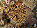 %_tempFileName2012-07-06_3_Buaya_Island_Croodile_Cave%20(18)%