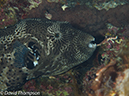 %_tempFileName2012-07-06_3_Buaya_Island_Croodile_Cave%20(21)%