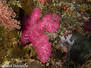 %_tempFileName2012-07-06_3_Buaya_Island_Croodile_Cave%20(3)%