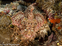 %_tempFileName2012-07-06_3_Buaya_Island_Croodile_Cave%20(31)%