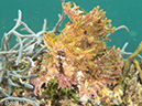 %_tempFileName2012-07-07_1_Kawula_Island_Sizzler%20(29)%