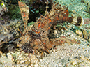 %_tempFileName2012-07-07_1_Kawula_Island_Sizzler%20(48)%