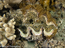 %_tempFileName2012-07-07_2_Kawula_Island_Sizzler%20(1)%