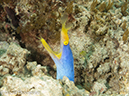 %_tempFileName2012-07-07_2_Kawula_Island_Sizzler%20(18)%