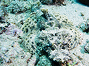 %_tempFileName2012-07-07_2_Kawula_Island_Sizzler%20(54)%