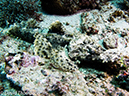 %_tempFileName2012-07-07_2_Kawula_Island_Sizzler%20(55)%