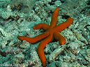 %_tempFileName2012-07-07_2_Kawula_Island_Sizzler%20(58)%