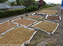 %_tempFileName2012-07-08_0_Flores_Island%20(1)%