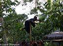 %_tempFileName2012-07-08_0_Flores_Island%20(22)%