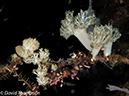 %_tempFileName2012-07-08_1_Maumere_Bay_Palau_Bali%20(1)%