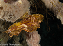 %_tempFileName2012-07-08_1_Maumere_Bay_Palau_Bali%20(16)%