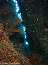 %_tempFileName2012-07-08_1_Maumere_Bay_Palau_Bali%20(46)%