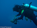 %_tempFileName2012-07-08_1_Maumere_Bay_Palau_Bali%20(47)%