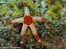 %_tempFileName2012-07-08_2_Maumere_Bay_Pengabatang_Island%20(15)%