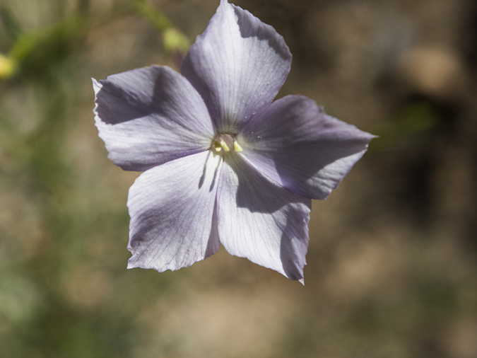 %_tempFileName2014-05-15_01_Kasha-Katuwe_Tent_Rocks_National_Monument-3%