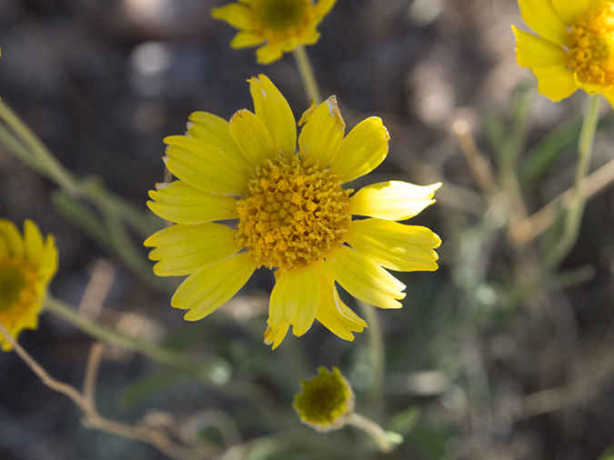 %_tempFileName2014-05-15_01_Kasha-Katuwe_Tent_Rocks_National_Monument-49%