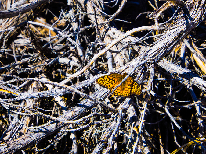 %_tempFileName2014-05-15_01_Kasha-Katuwe_Tent_Rocks_National_Monument-9%