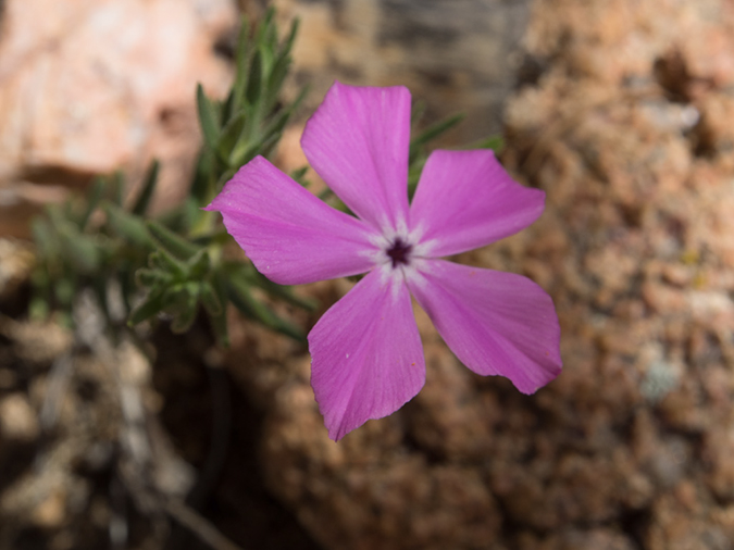 %_tempFileName2014-05-16_01_Atalaya_Mountain_Santa_Fe-19%