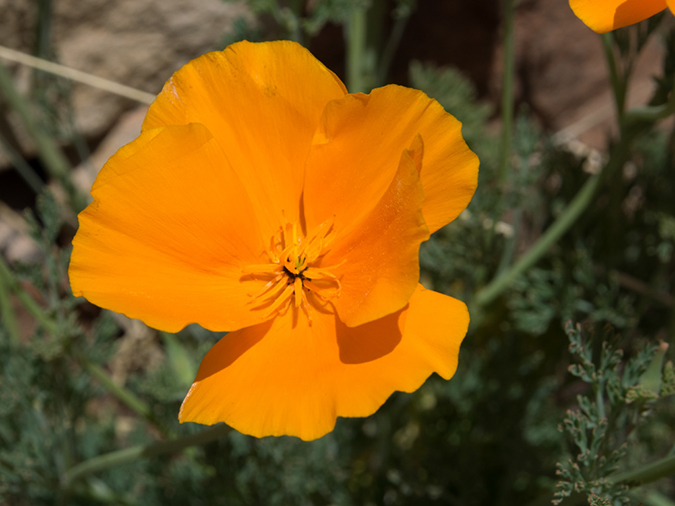 %_tempFileName2014-05-16_01_Atalaya_Mountain_Santa_Fe-26%