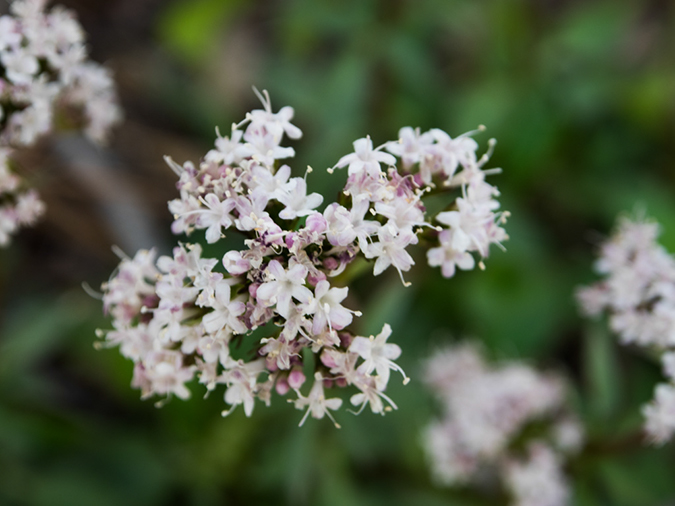 %_tempFileName2014-05-16_01_Atalaya_Mountain_Santa_Fe-8%