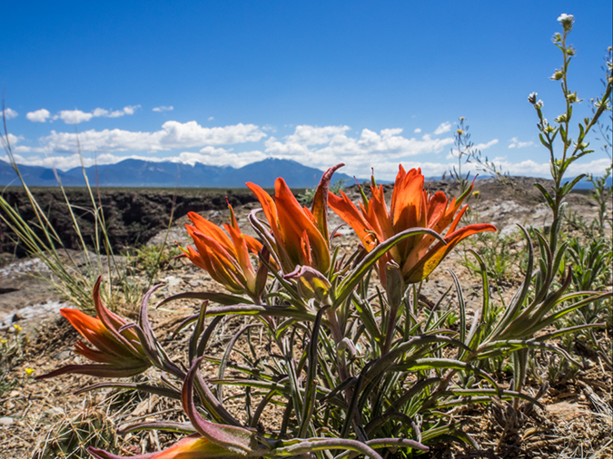 %_tempFileName2014-05-27_01_Rio_Grande_West_Rim_Trail-13%