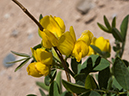 %_tempFileName2014-05-15_01_Kasha-Katuwe_Tent_Rocks_National_Monument-34%