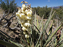 %_tempFileName2014-05-15_01_Kasha-Katuwe_Tent_Rocks_National_Monument-44%