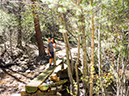 %_tempFileName2014-05-20_01_Big_Tesuque_Bear_Wallow_Loop_Santa_Fe-22%